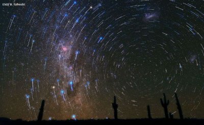 ESO Rastro de estrellas sobre cactus del desierto de Atacama