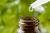 Homeopatías para “…todo…todos y todas…”