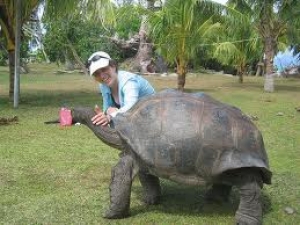 Compañía hotelera crea reserva de tortugas