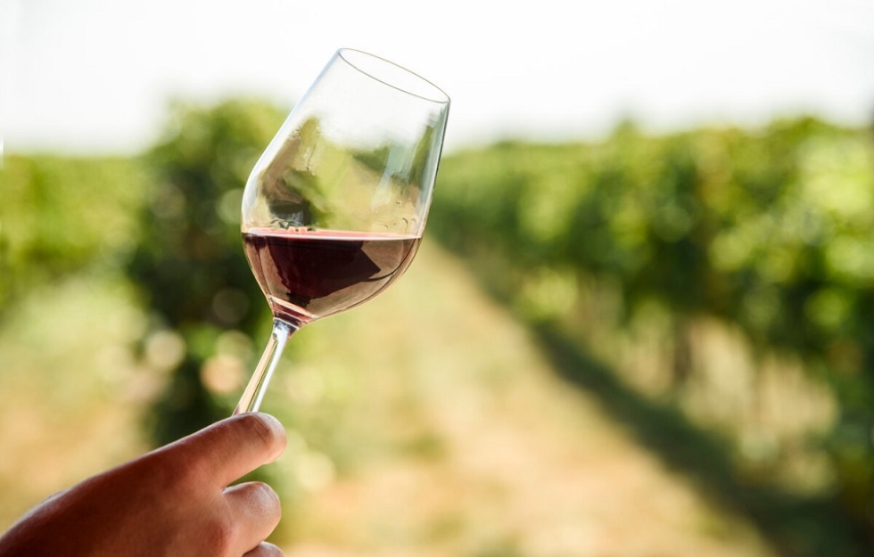 Los mejores tours de vinos del Cono Sur para viajeros exigentes