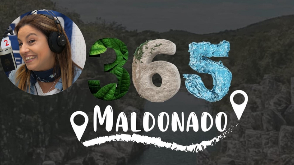 Rosanna Freda, Maldonado 365, camino a la desestacionalización