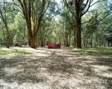 Presentación del Proyecto 