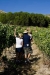Un millón de euros para promocionar la ruta del vino Ribera del Duero