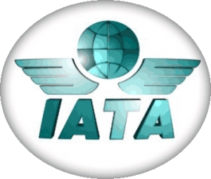 IATA, en desacuerdo con privatización de aeropuertos