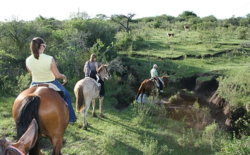 Turismo rural: alojamiento y estancias turísticas en Uruguay