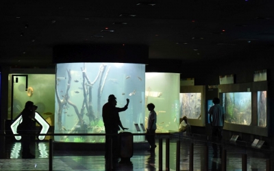 Acuario del R&iacute;o Paran&aacute;