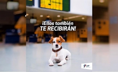 Aeropuerto Jorge Ch&aacute;vez permite ingreso de mascotas a sus instalaciones