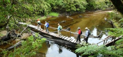 Sernatur invita a concursar por viajes dentro de Chile a trav&eacute;s del desaf&iacute;o &ldquo;TaxiTour&rdquo;