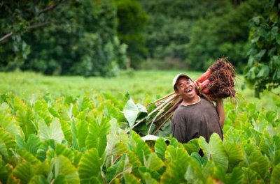 Islas Cook, el paraíso más ECO