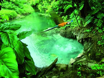 Copa Airlines pone Guanacaste al alcance de los colombianos