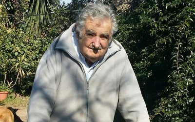 &ldquo;Pluna fue una chambonada hist&oacute;rica&rdquo;