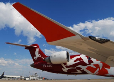 Por ahora los vuelos de Pluna no se ver&aacute;n afectados