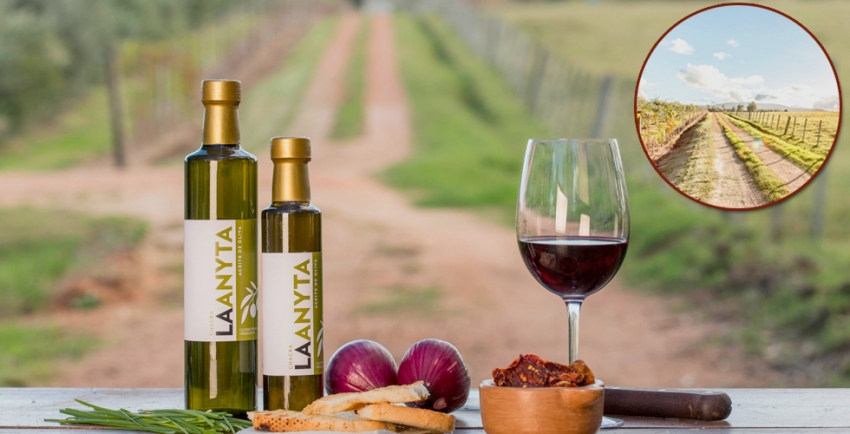 "La Anyta es la forma de justificar nuestra presencia en Uruguay". Maldonado, Parte I