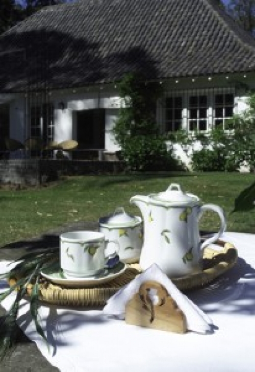 Gastronom&iacute;a con aire campestre