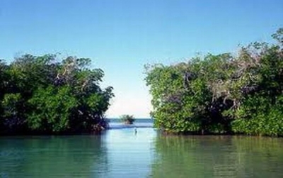 El turismo puede afectar el medio ambiente y la biodiversidad