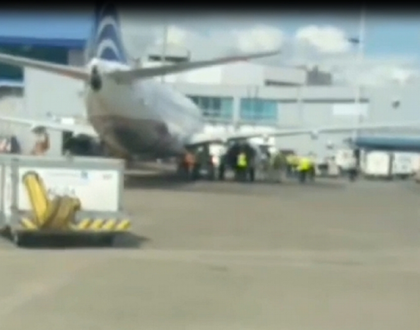 Debido a ingesti&oacute;n de un ave en un motor, retorn&oacute; a Tocumen avi&oacute;n de Copa Airlines