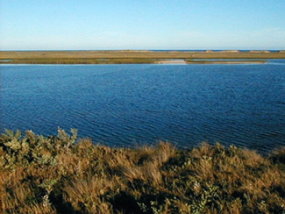 Maldonado y Rocha: Gobierno valor&oacute; opini&oacute;n de intendencias para la construcci&oacute;n de puente Garz&oacute;n
