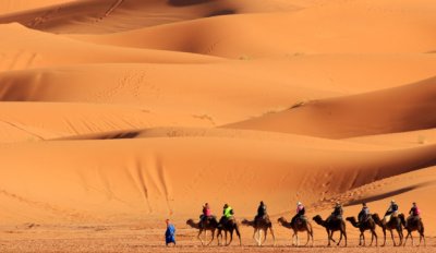 Vacaciones ex&oacute;ticas a lomo de dromedario