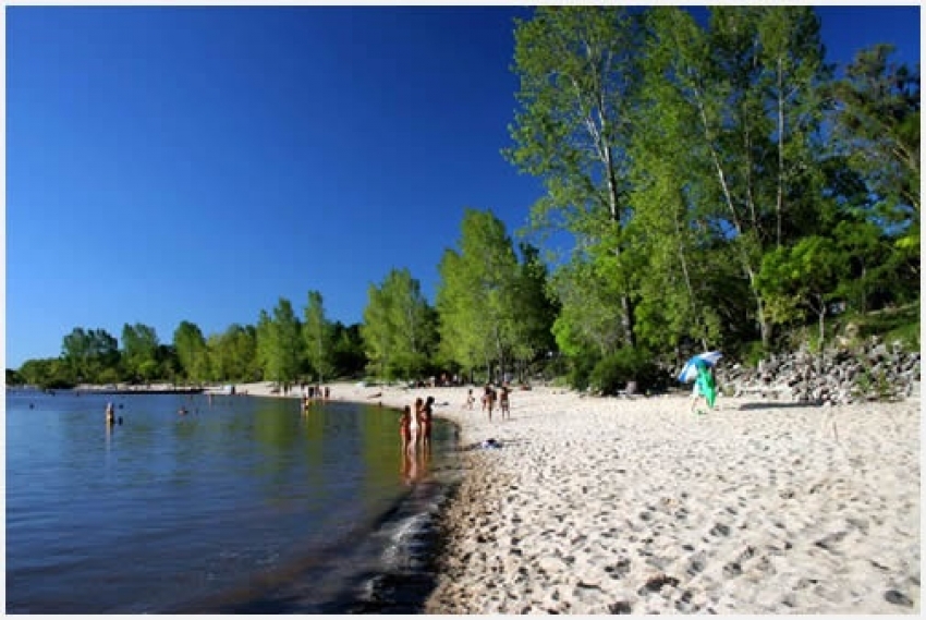 Herrera en Milenium FM de Punta del Este: "No tenemos pol&iacute;ticas de Estado ni en turismo ni en aviaci&oacute;n comercial"