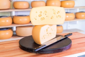 Primer Festival de Pan y Queso del Uruguay en MACA