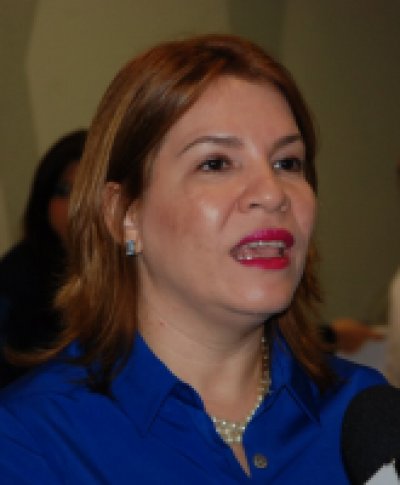 &ldquo;Es positiva la entrada de nuevas aerol&iacute;neas al mercado dominicano&rdquo;