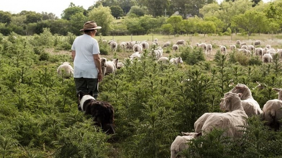 Mintur convoca a mujeres rurales en el sector tur&iacute;stico de todo el territorio uruguayo