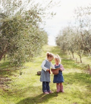 El sentido educativo de las experiencias tur&iacute;sticas 