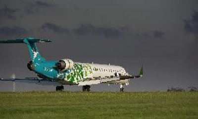 Divulgar&aacute;n antes de la subasta las condiciones para nuevas l&iacute;neas