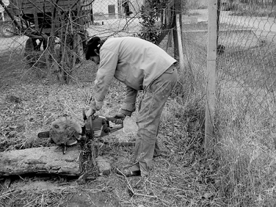 Est&aacute;n haciendo le&ntilde;a, hay un &aacute;rbol ca&iacute;do...