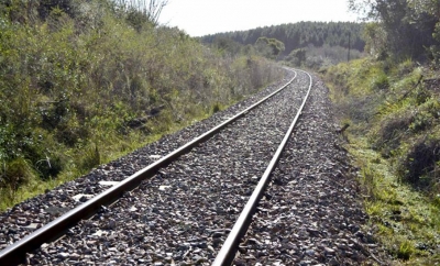 Estamos en la v&iacute;a en materia de transporte