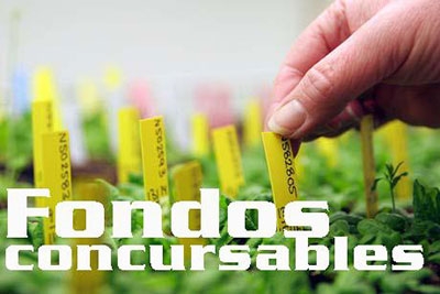 Fondo Concursable para la Cultura extiende su Convocatoria 2017
