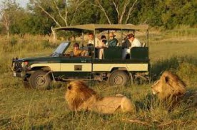 El miedo al terrorismo golpea al turismo de safari, sol y playa en Kenia  