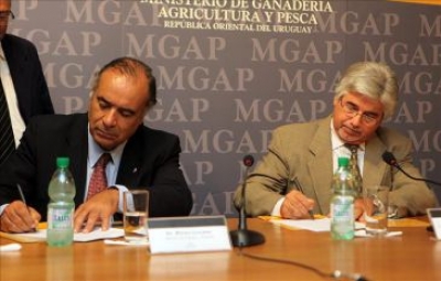 Los vinos impulsan Uruguay Natural. A partir de este a&ntilde;o llevar&aacute;n marca pa&iacute;s en la etiqueta