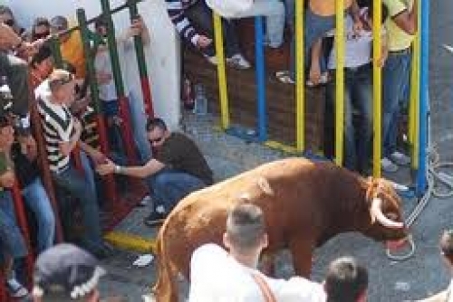 Muere hombre embestido por vaquilla en Benamahoma