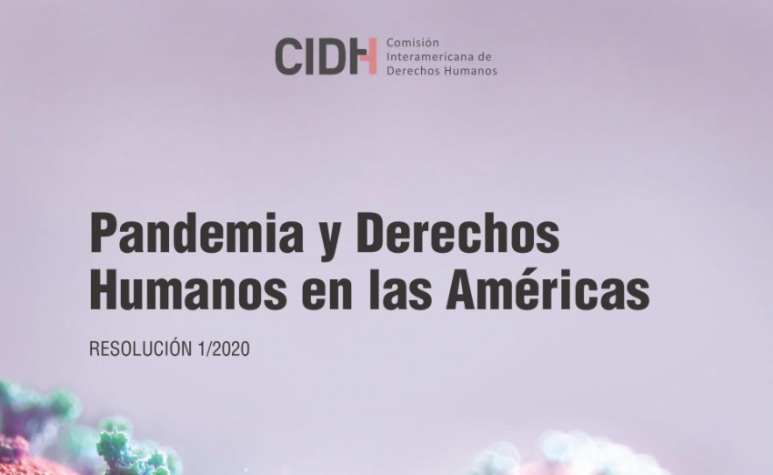 Pandemia y Derechos Humanos en las Am&eacute;ricas