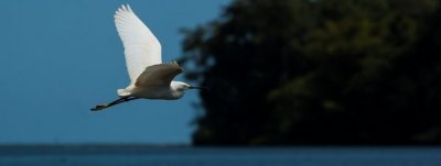 Costa Rica, el destino más recomendado del mundo para las vacaciones