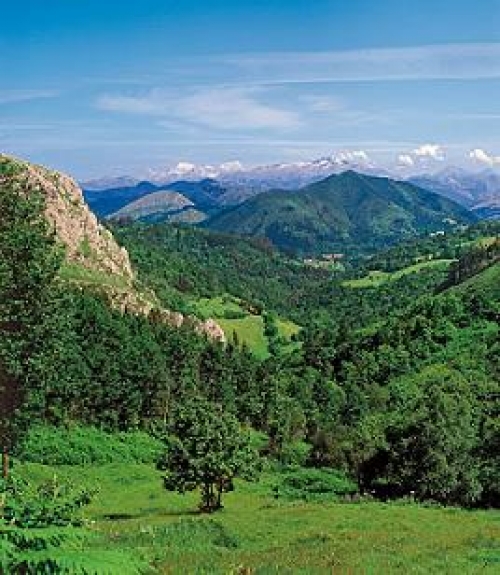 Asturias, ya est&aacute;n tardando