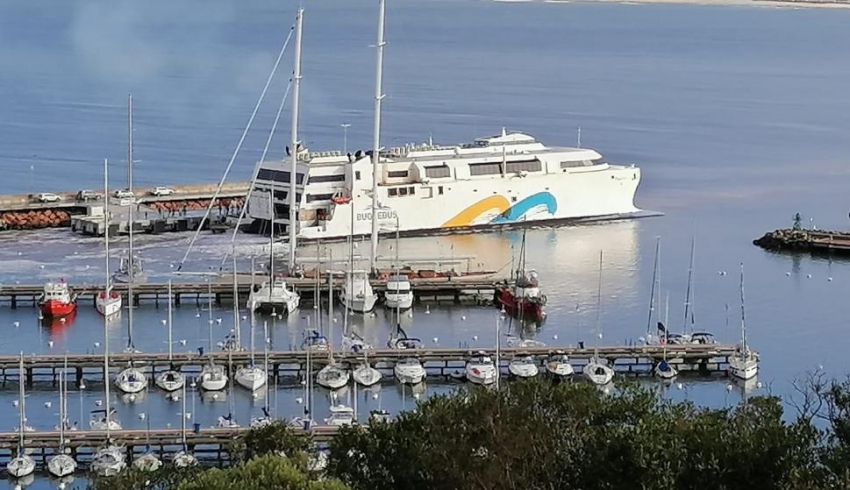 Buquebus a Piriápolis: cuando vemos la vaca, lloramos