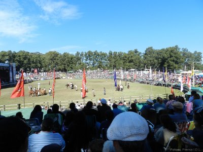 29&ordf; Edici&oacute;n Festival Minas y Abril