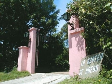 &iquest;Cerramos los ojos ante otro asesinato cultural?. R&eacute;quiem por La Azotea de Haedo