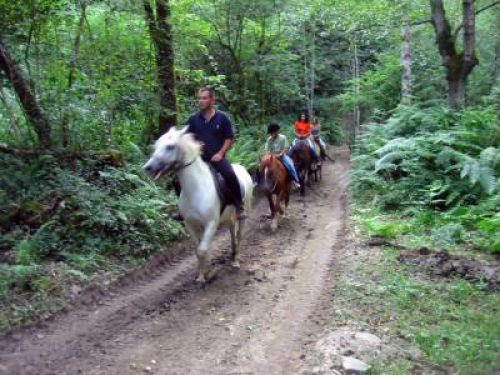 Dise&ntilde;os de productos turisticos alternativos