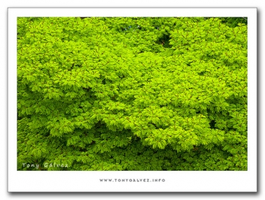 Nuevos destinos tur&iacute;sticos, para un p&uacute;blico cada vez m&aacute;s heterog&eacute;neo, pero exigente