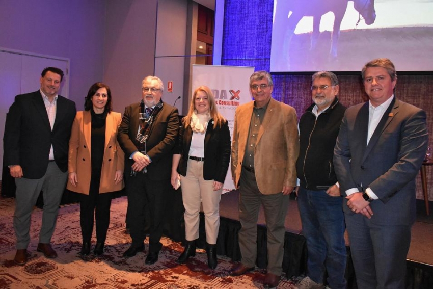 Pablo Pesce; Gabriela Safi; Francisco Rodriguez; Marina Cantera; Sergio Antonio Herrera; Alberto Latarowski; Agustín Maddocks.