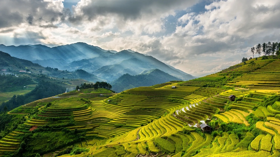 Arrozales en terrazas en Mu Cang Chai Vietnam