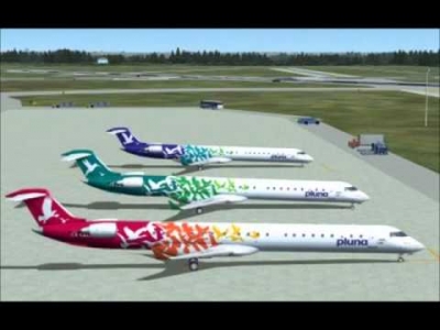 Nuevo comunicado del Directorio de PLUNA L&iacute;neas A&eacute;reas Uruguayas S.A. 