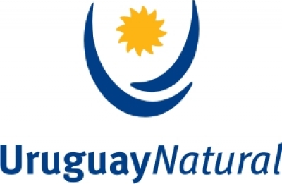 Uruguay Natural: &iquest;concepto o simple marca?