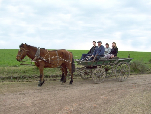 Entre R&iacute;os: Aldeas Alemanas a orillas del Paran&aacute;. La comunidad germana m&aacute;s importante de Argentina