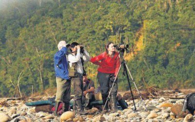 Prom-Perú: &#039;Birdwatching&#039; puede atraer a tres millones de turistas