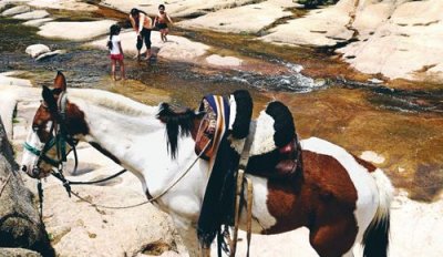Entre Rosario y las Sierras
