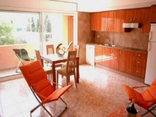 El alquiler vacacional vive su &eacute;poca dorada